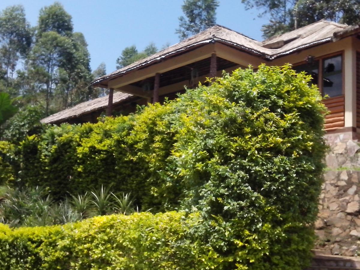 Bwindi Forest Lodge Buhoma Zewnętrze zdjęcie